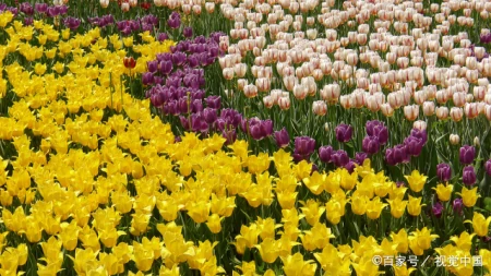 你来过，我爱过，你的好我记得（你来过我来过是什么歌）