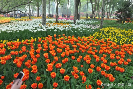 你来过，我爱过，你的好我记得（你来过我来过是什么歌）