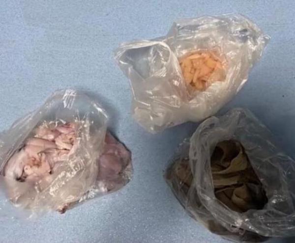 行拘！两女子为吃自助餐回本，偷偷把食材打包带回家，网友：为了吃免费牢饭也是够拼的（吃自助餐可以打包吗）