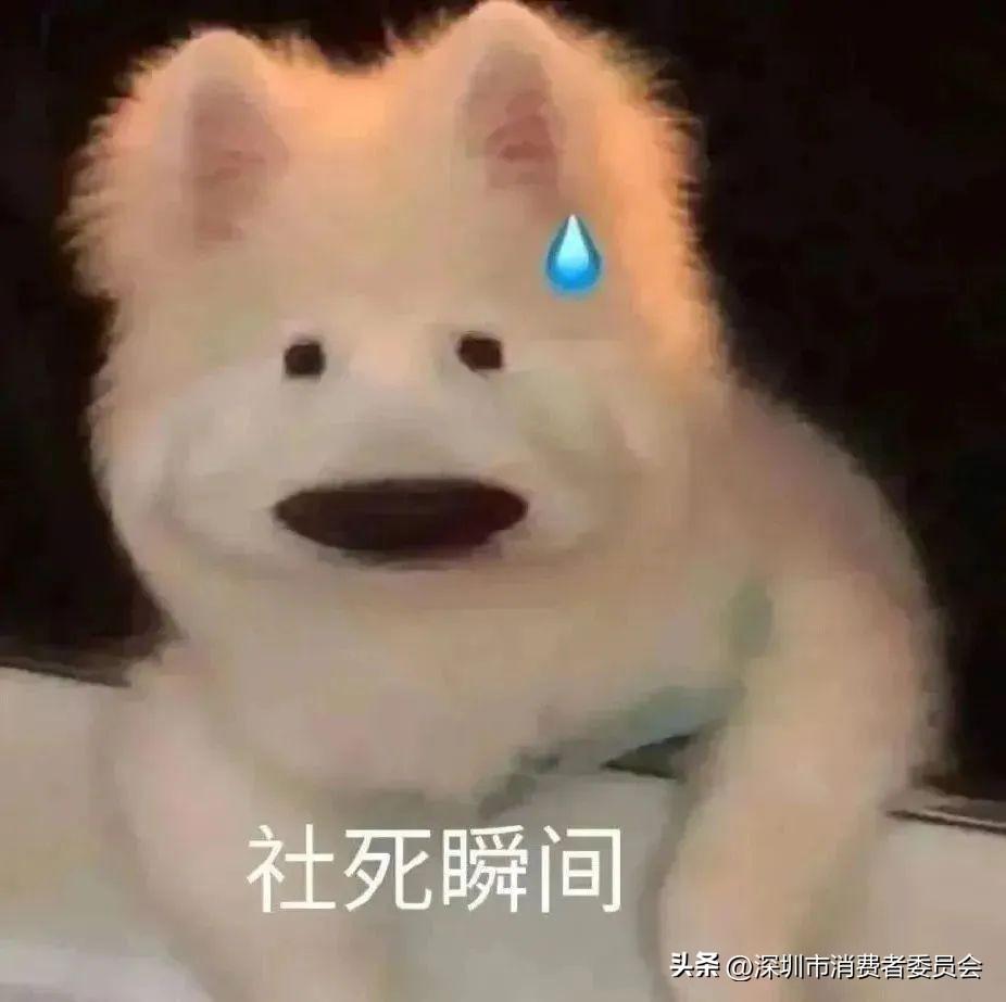 吃自助餐偷偷打包不要紧？这两人被行拘...（吃自助餐偷偷打包不吃饭）