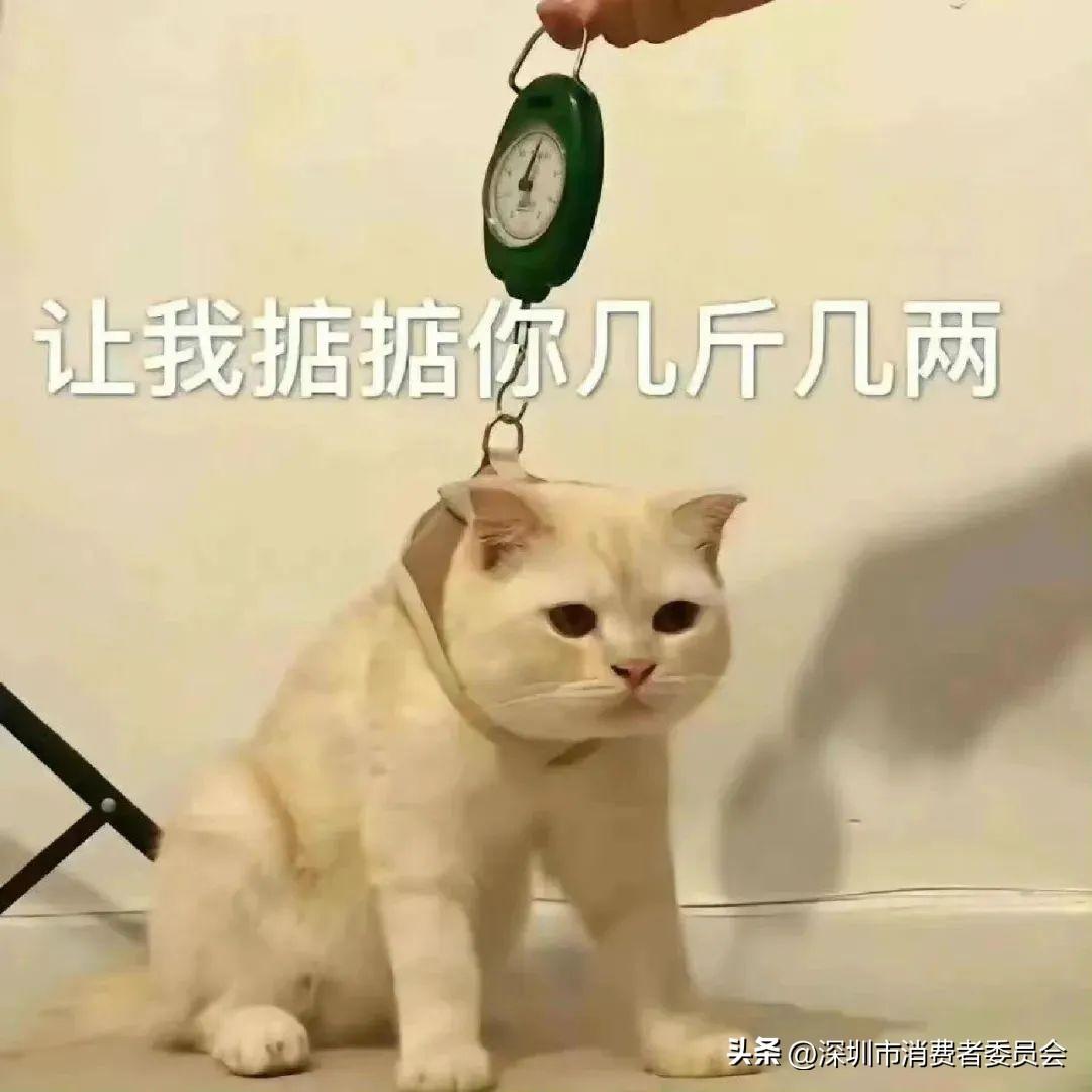 吃自助餐偷偷打包不要紧？这两人被行拘...（吃自助餐偷偷打包不吃饭）