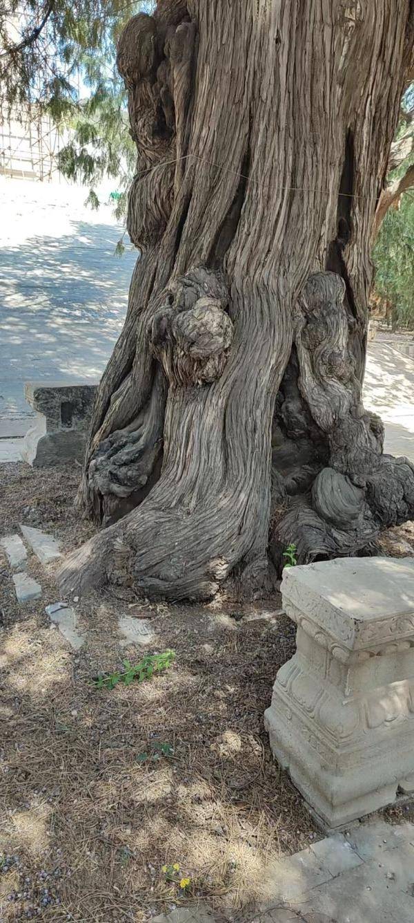 十三陵之茂陵：一帝三后合葬，身后事也不由己-十三陵茂陵简介