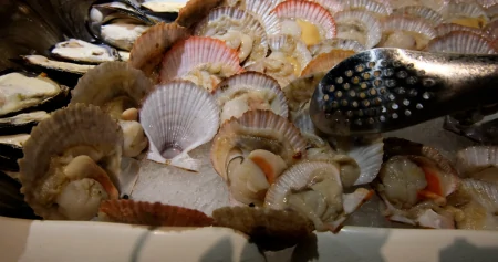 柳州50元1位的海鲜自助餐，螃蟹海星贝类任吃，一次把本吃回来！（柳州哪里自助海鲜种类多好吃）