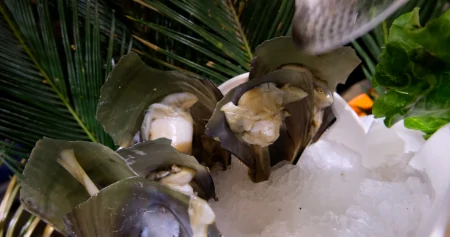 柳州50元1位的海鲜自助餐，螃蟹海星贝类任吃，一次把本吃回来！（柳州哪里自助海鲜种类多好吃）