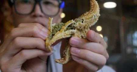 柳州50元1位的海鲜自助餐，螃蟹海星贝类任吃，一次把本吃回来！（柳州哪里自助海鲜种类多好吃）