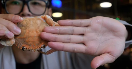 柳州50元1位的海鲜自助餐，螃蟹海星贝类任吃，一次把本吃回来！（柳州哪里自助海鲜种类多好吃）