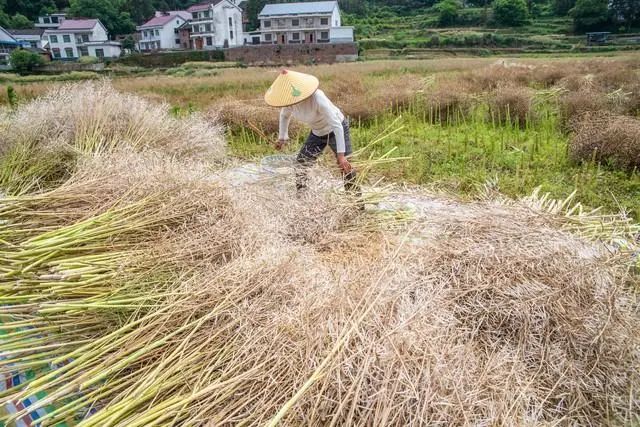 五一放假安排表已来了！劳动节放假几天？高速免费吗？早看早安排-五一劳动节放假高速公路免费吗