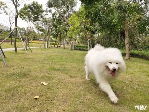 升降+多焦三摄镜头 vivo X27拍照旗舰评测-vivox27拍照多少倍变焦