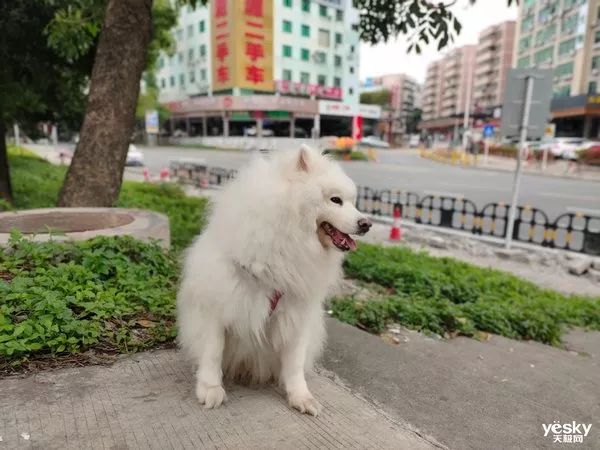 升降+多焦三摄镜头 vivo X27拍照旗舰评测-vivox27拍照多少倍变焦