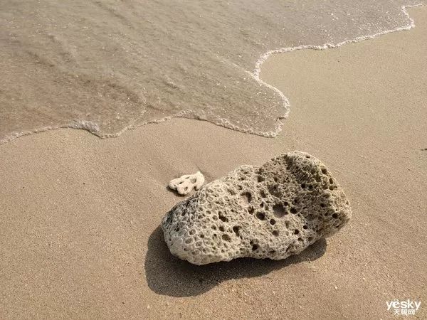 升降+多焦三摄镜头 vivo X27拍照旗舰评测-vivox27拍照多少倍变焦