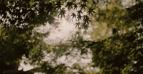 把五星级酒店香味带回家，12.8元/4瓶无火香薰，让你精致不止一点点-五星酒店的香薰