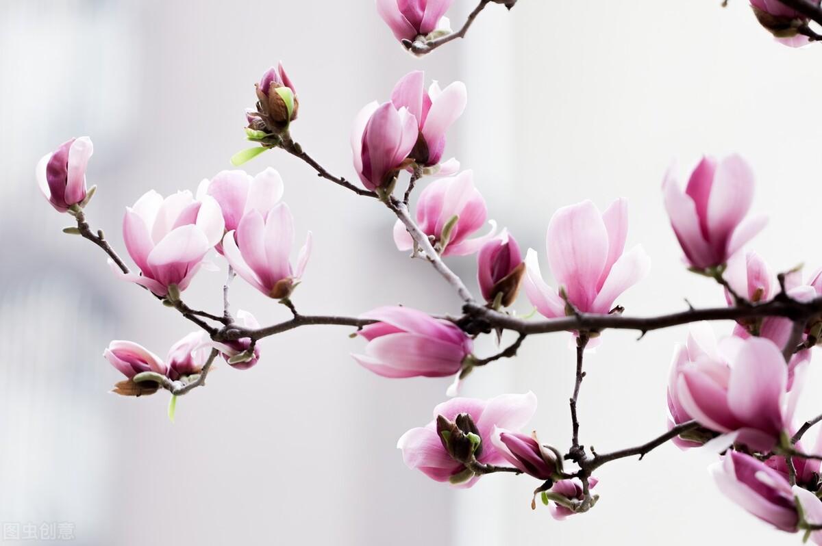 真香预警！这几款五星级酒店香氛绝了-五星级酒店香味香水是什么牌子