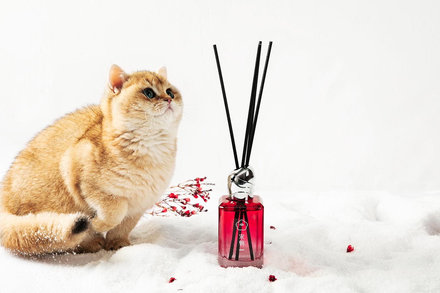 酒店为什么那么香呢？-为什么酒店比较邪