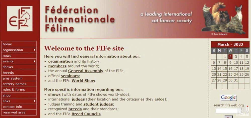 制裁蔓延到俄罗斯境内的猫了……网友：啥时候制裁俄罗斯方块？（俄罗斯活该被制裁）