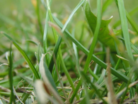 五星级酒店香氛的香味，哪几款最好闻？-5星级酒店的香味是哪个品牌