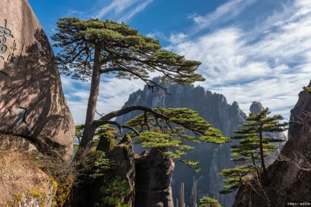 五星级酒店香氛的香味，哪几款最好闻？-5星级酒店的香味是哪个品牌