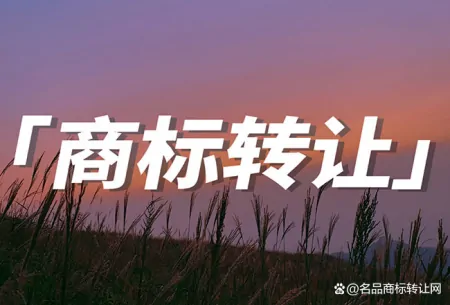 哪些情况选择商标转让而不是商标变更？-商标转让需要什么流程