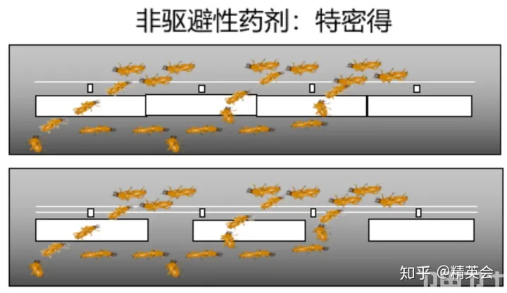 【头疼！】白蚁纷飞，为什么穷尽所能也灭不完？（白蚁怎么了）