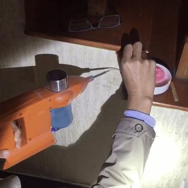 【头疼！】白蚁纷飞，为什么穷尽所能也灭不完？（白蚁怎么了）