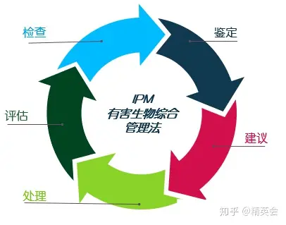 【头疼！】白蚁纷飞，为什么穷尽所能也灭不完？（白蚁怎么了）