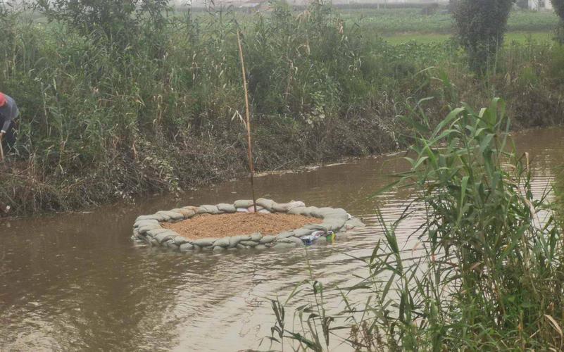 防患未然！浙江大坝挖出十几年白蚁后，白蚁对大坝的威胁有多严重（水库白蚁防治方法）