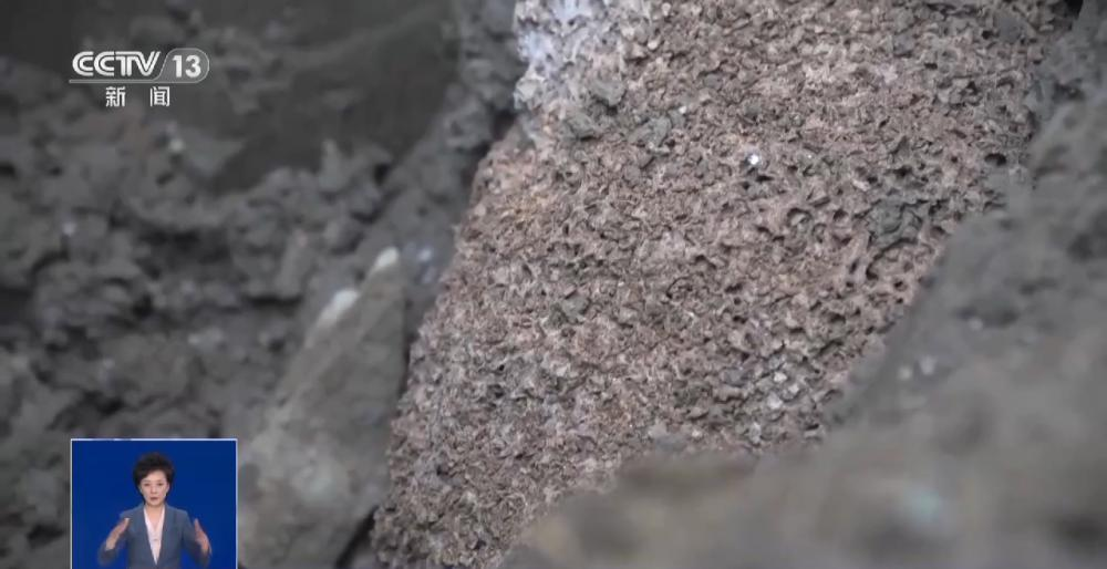 浙江一大坝挖出生长十几年白蚁后，为罕见的“一王三后”（白蚁造成的损失怎么处理）