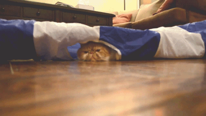 装修全包和半包有什么区别？看完这篇文章你就懂了！-装修全包跟半包是什么意思