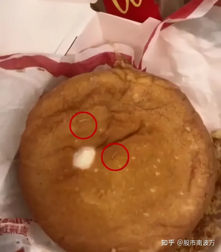 太恶心！女子吃麦当劳汉堡吃出大量活虫！麦当劳回应（女子吃麦当劳有虫子怎么办）