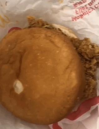 太恶心！女子吃麦当劳汉堡吃出大量活虫！麦当劳回应（女子吃麦当劳有虫子怎么办）