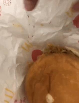 太恶心！女子吃麦当劳汉堡吃出大量活虫！麦当劳回应（女子吃麦当劳有虫子怎么办）