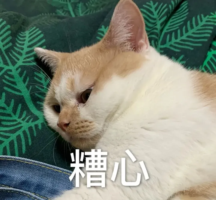 知名品牌零食惊现活虫？！上网曝光后，女子竟被……（零食吃到虫子怎么办）