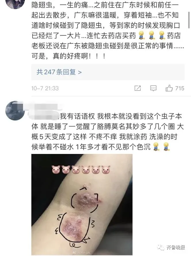 只因一条小虫，女子差点毁容！看完后怕…（一条虫打一成语是什么成语）