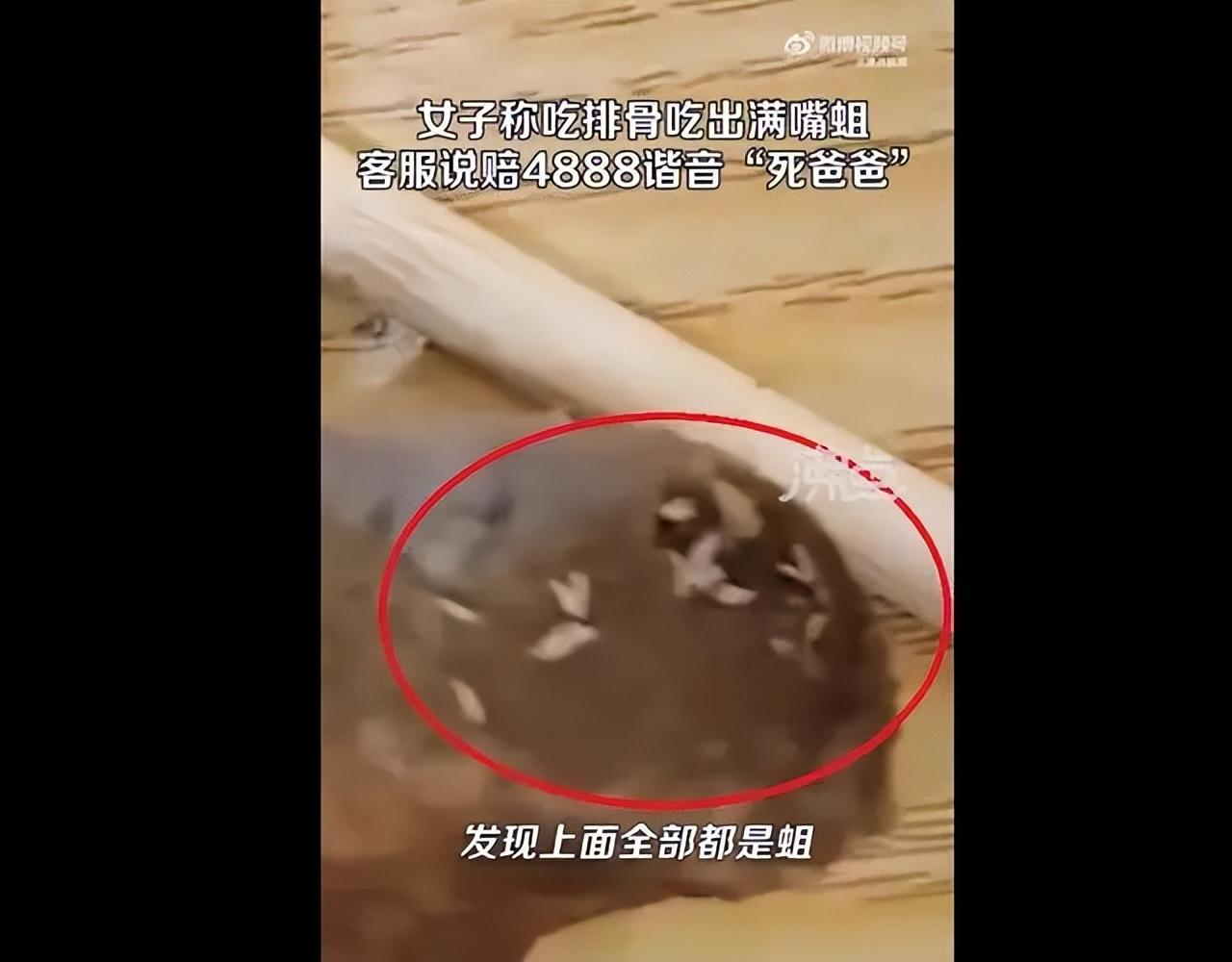 太可恶了！女子称吃黄焖排骨发现满嘴是蛆，总部居然做出这样回应（排骨里面有虫怎么办）