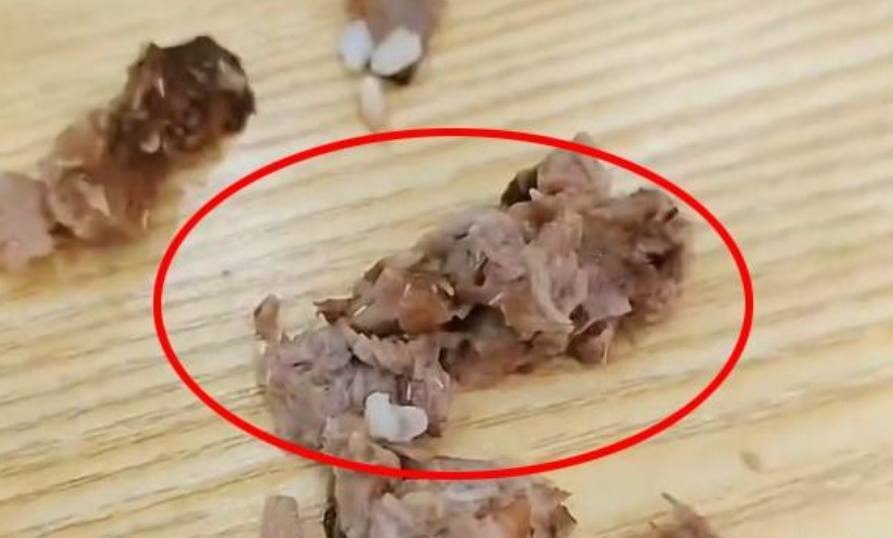 太可恶了！女子称吃黄焖排骨发现满嘴是蛆，总部居然做出这样回应（排骨里面有虫怎么办）