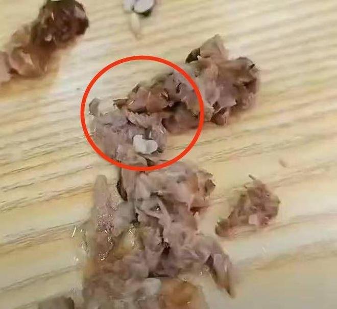 女子称吃黄焖排骨发现满嘴是蛆，总部：肉类为门店自行采购（黄焖排骨用的什么排骨）