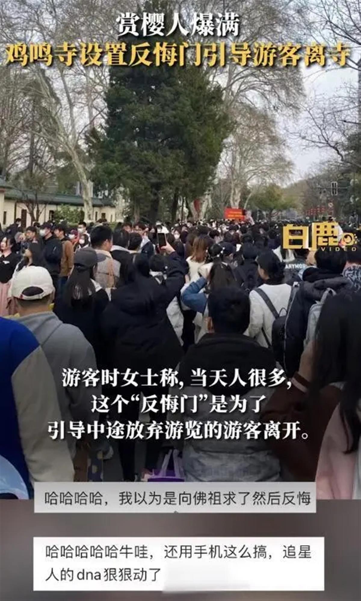 鸡鸣寺游客爆满设“反悔门”引导离寺，景区治堵就该疏导有方（鸡鸣寺许愿树）
