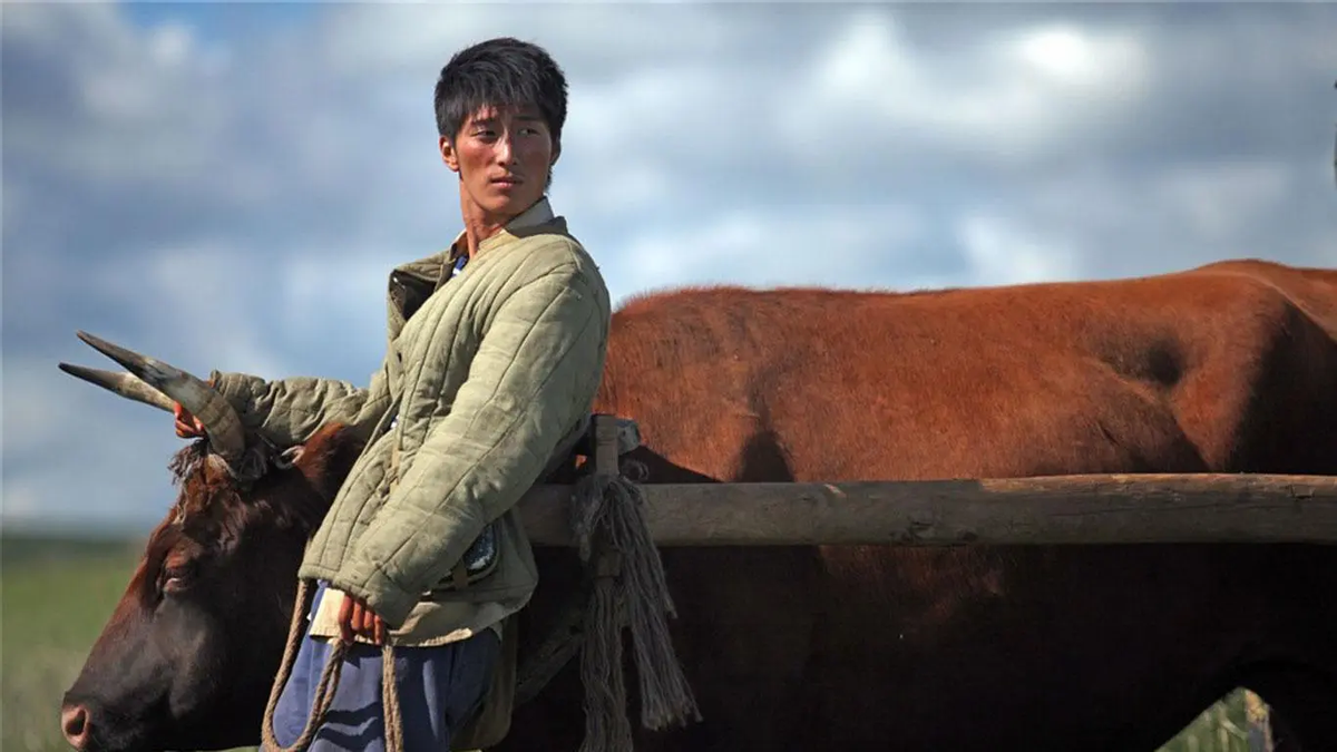 4年苦修终迎娶赌王千金，窦骁这条豪门之路并不好走-窦骁的女朋友是谁啊赌王为什么那么有钱