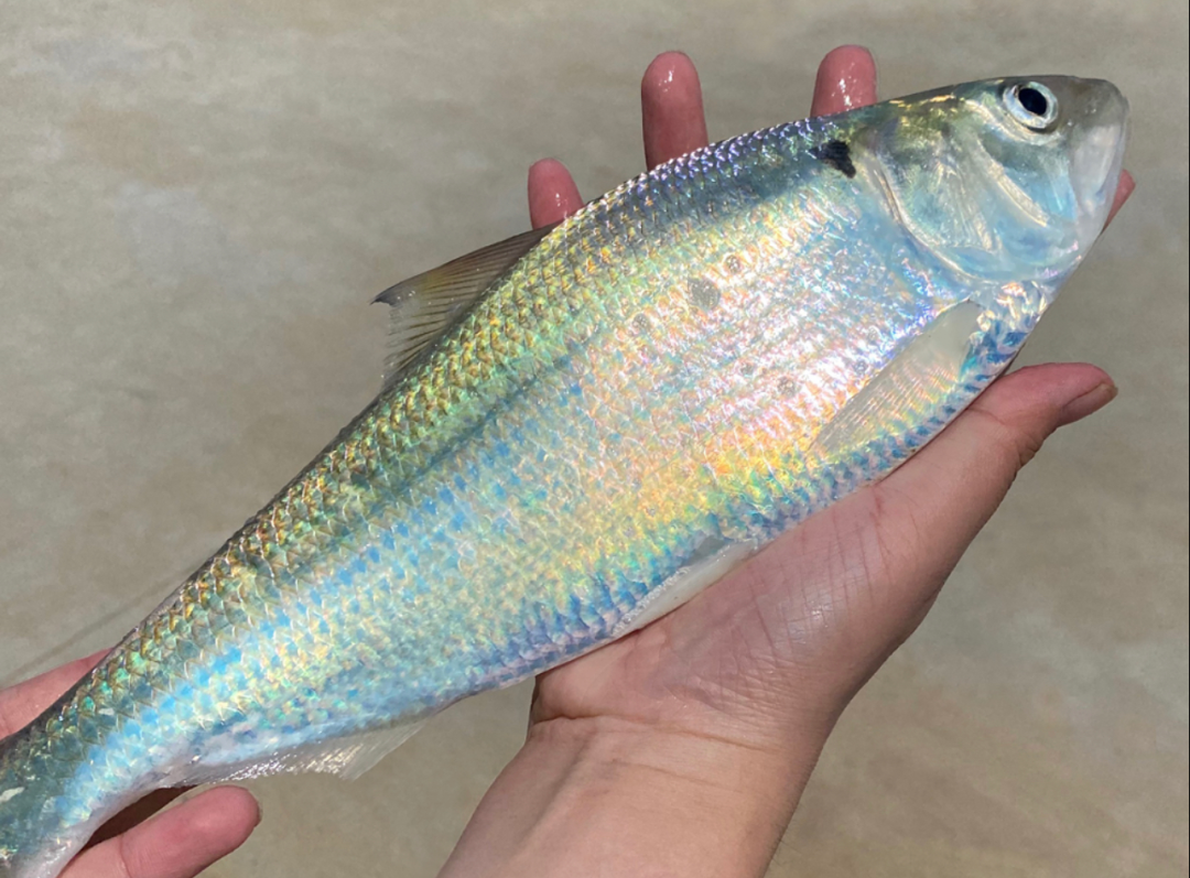 立夏吃什么-夏至吃什么食物最好