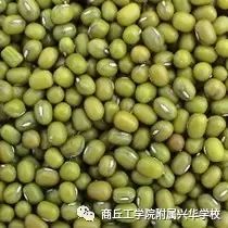 立夏吃什么好？八种食物最养生（附兴华学校第12周食谱）-二十四节气与美食