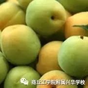 立夏吃什么好？八种食物最养生（附兴华学校第12周食谱）-二十四节气与美食