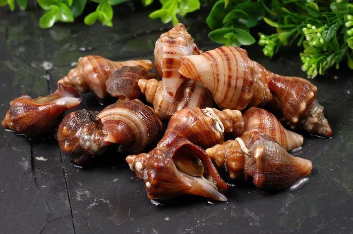 立夏吃什么？-立冬的风俗吃什么