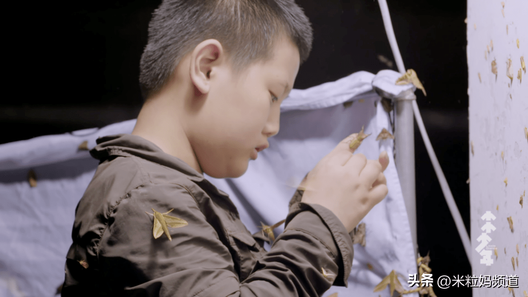 撕掉孩子手写56本小说，还说为你好，有多少孩子被这样的亲情绑架（孩子撕书怎么教育）