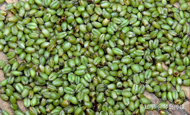 直播话题:立夏各地都吃些什么特色美食？