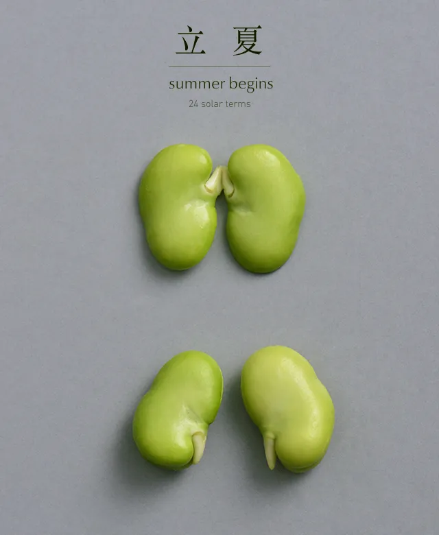 立夏节气，宜吃蚕豆-蚕豆吃了容易过敏吗