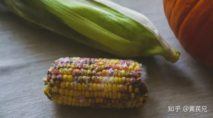 香港著名影星病逝，这个病：明星也不能幸免，全球中国人占了一半！（香港艺人病故有哪些名单）