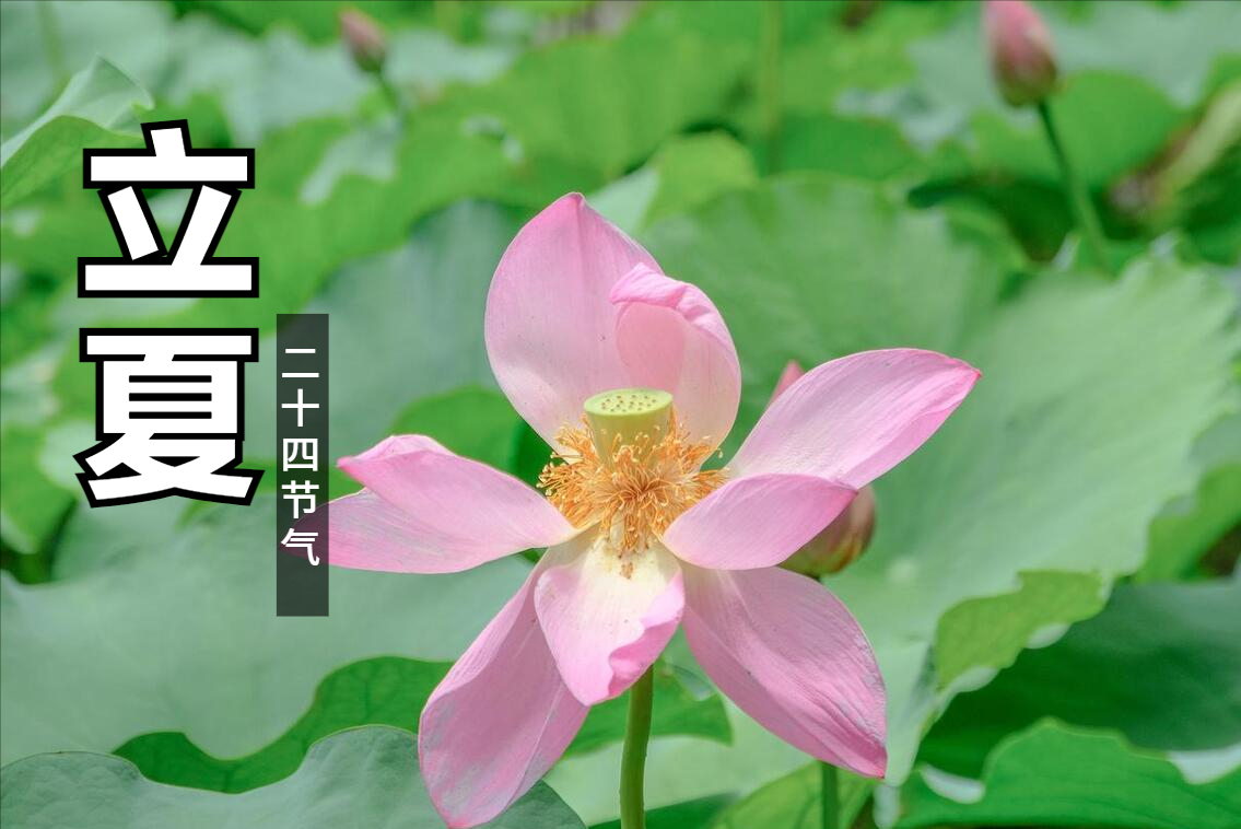 5月6日立夏，老话“立夏吃3宝，不往医院跑”，指啥？老传统别忘-2021年夏至是几月几号
