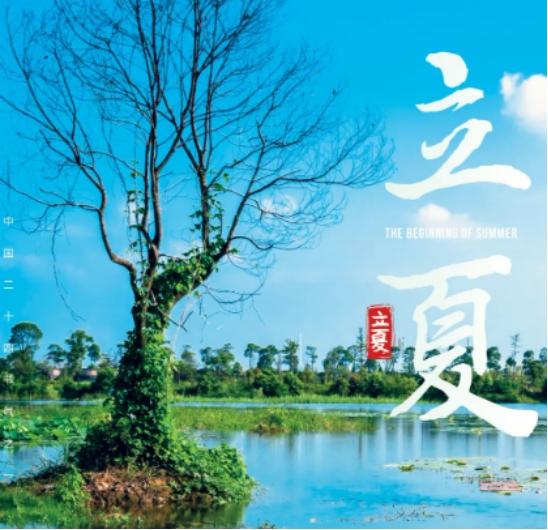 立夏来袭，不管忙不忙，“立夏4宝”不能忘，遵循传统应季而食