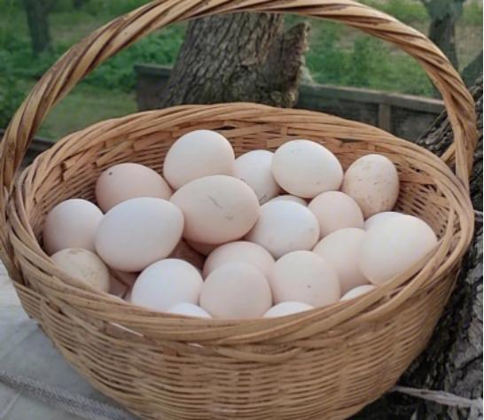 立夏来袭，不管忙不忙，“立夏4宝”不能忘，遵循传统应季而食