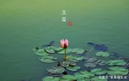 “立夏吃5宝，一年没烦恼”，这5种美味记得吃，顺应节气平安入夏