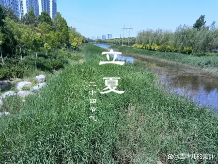 明日立夏，再忙也要记得吃5样，寓意健康又平安，老传统需传承！-明日立冬时间